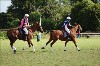 UKPA  NC Sat_1225